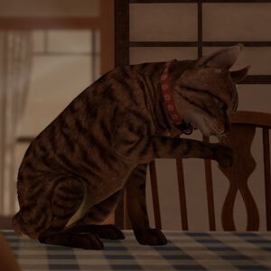 『近畿地方のある場所について』著者・背筋がシナリオを手掛ける探索ステルスアクションゲーム『まだ猫は逃げますか？』レビュー。猫ならではのアクションと考察のはかどる物語が魅力【電撃インディー#1172】