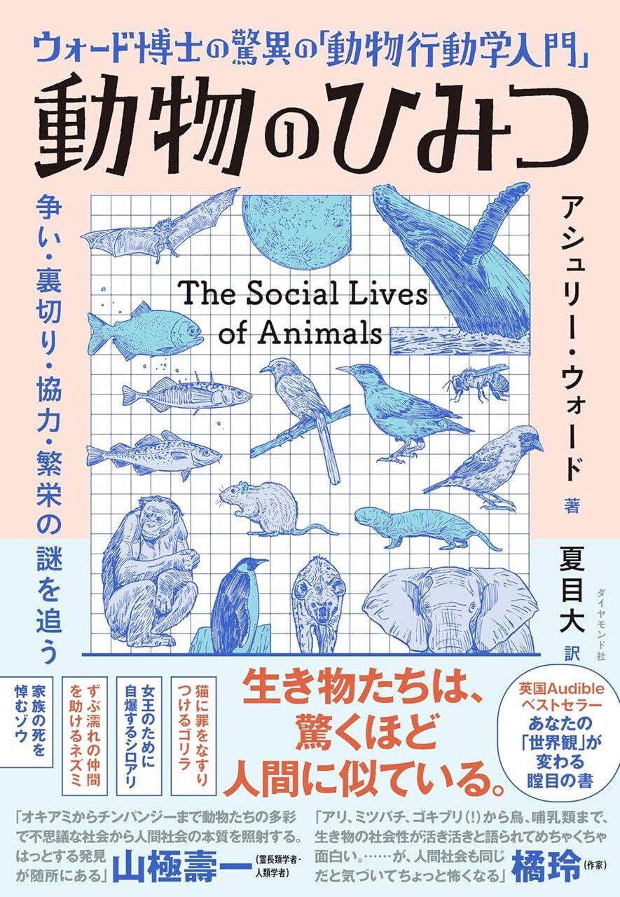 動物行動の観察入門 計画から解析まで 動物行動の観察入門 計画から解析まで - メルカリ