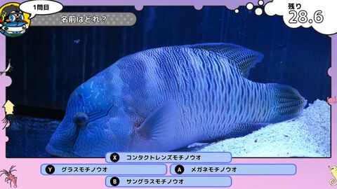 『いつでも伊勢シーパラダイス 距離感ゼロの水族館図鑑』本物の水族館を舞台にした“ゼロ距離展示”知育ゲームが11/20発売。生きものの生態を楽しく学ぼう