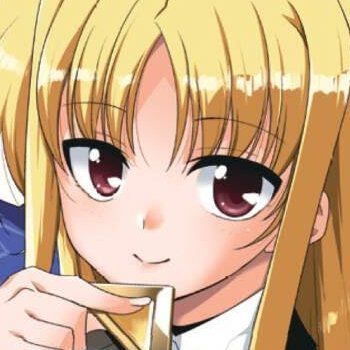 『魔法少女リリカルなのはStrikerS THE COMICS 新装版』