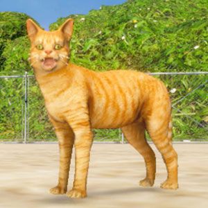 世界一足の速い動物はどれだ!? 種族を超えた最強の組み合わせで勝利を目指す戦略ランゲーム『アニマルランリレー』がSteamに登場【Animal Run Relay】