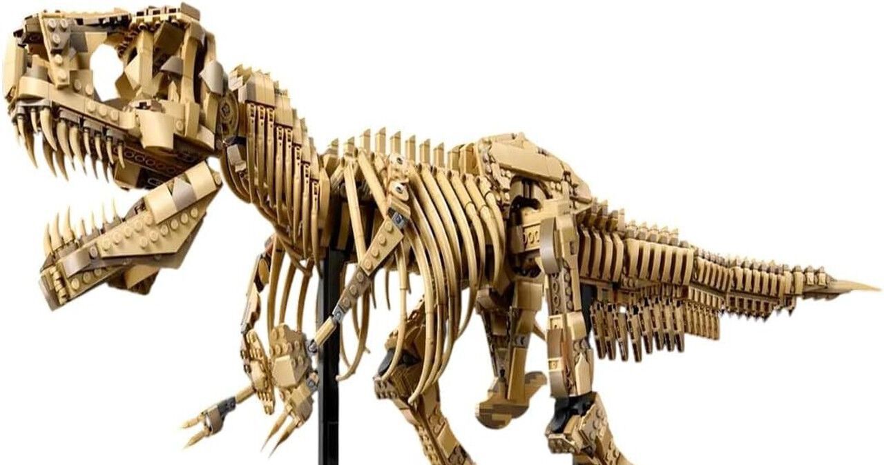 70cm 大型Tレックス化石コレクション　褐色系のリアルな骨格モデル 70cm 大型Tレックス化石コレクション 褐色系のリアルな骨格モデル 楽天