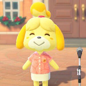 今から始める『あつ森』生活・新米島民編。1/15の無料アプデVer.3.0とSwitch 2 Editionに備えて準備を！【あつまれ どうぶつの森】