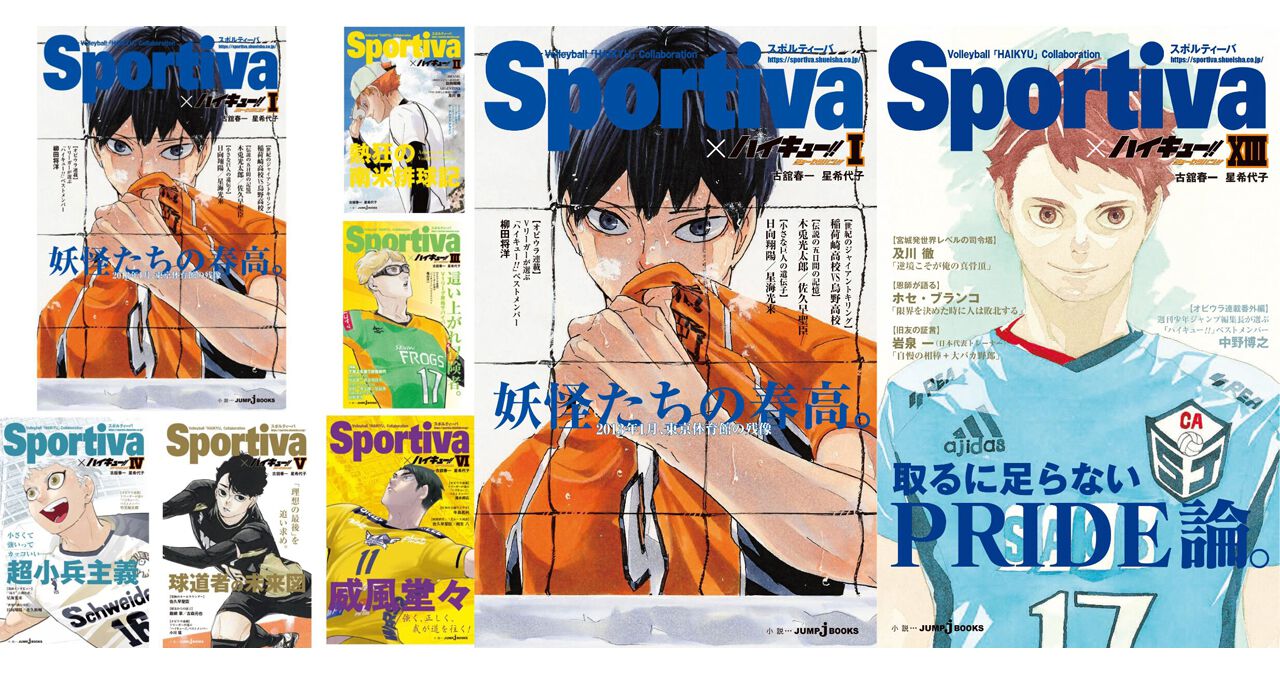 小説版『ハイキュー！！ ショーセツバン！！』がまとめて読める13巻 
