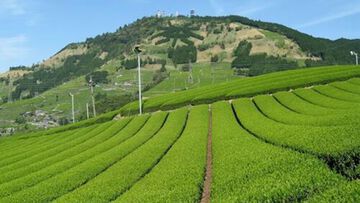 『新クトゥルフ神話TRPG』の架空都市・七伏市と“静岡県・掛川市”が姉妹都市提携を締結。掛川市長「初手SANチェックのない街でありたい」