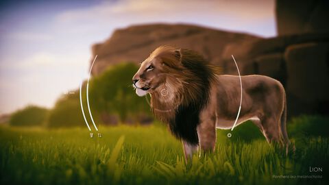 『Seclusa』アフリカの動物たちを観察・撮影しよう。チルい雰囲気の写真シミュレーターが2月17日発売。ロッジでのんびりしたり広大な景色を眺めることも