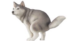 ふんばるワンちゃんのかわいいミニチュアフィギュア“ふんばり～ぬ”第3弾が3月下旬に発売。ハスキー、コーギー、ペキニーズなど全6種がラインアップ