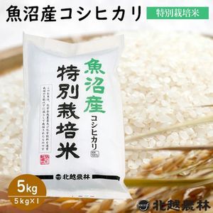 【コシヒカリ半額】新潟県魚沼産コシヒカリ5kgが30分限定で50％オフの3,425円に。ブランド米の代表格をお買い得価格で味わえる！《楽天スーパーセール》