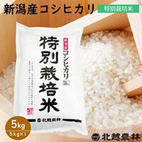 《楽天スーパーセール》で最高品質の新潟産コシヒカリ（5kg）が半額2,905円に！