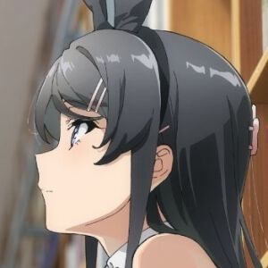 『青春ブタ野郎はディアフレンドの夢を見ない』