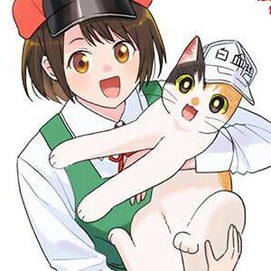 『はたらく細胞 猫』最新刊5巻。脱走した飼い猫に待ち受けるリスクは？ ひっかき傷、SFTS、乳糖不耐症などのエピソードを収録