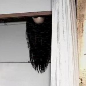 『日本事故物件監視協会3』8/7配信決定。心霊スポットの杉屋旅館やリアルイベントで使用した家が登場