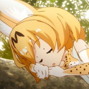 アニメ『けもフレ』＆『けもフレ2』がYouTubeで無料配信開始。TVアニメ放送から約9年…9年！？【けものフレンズ】