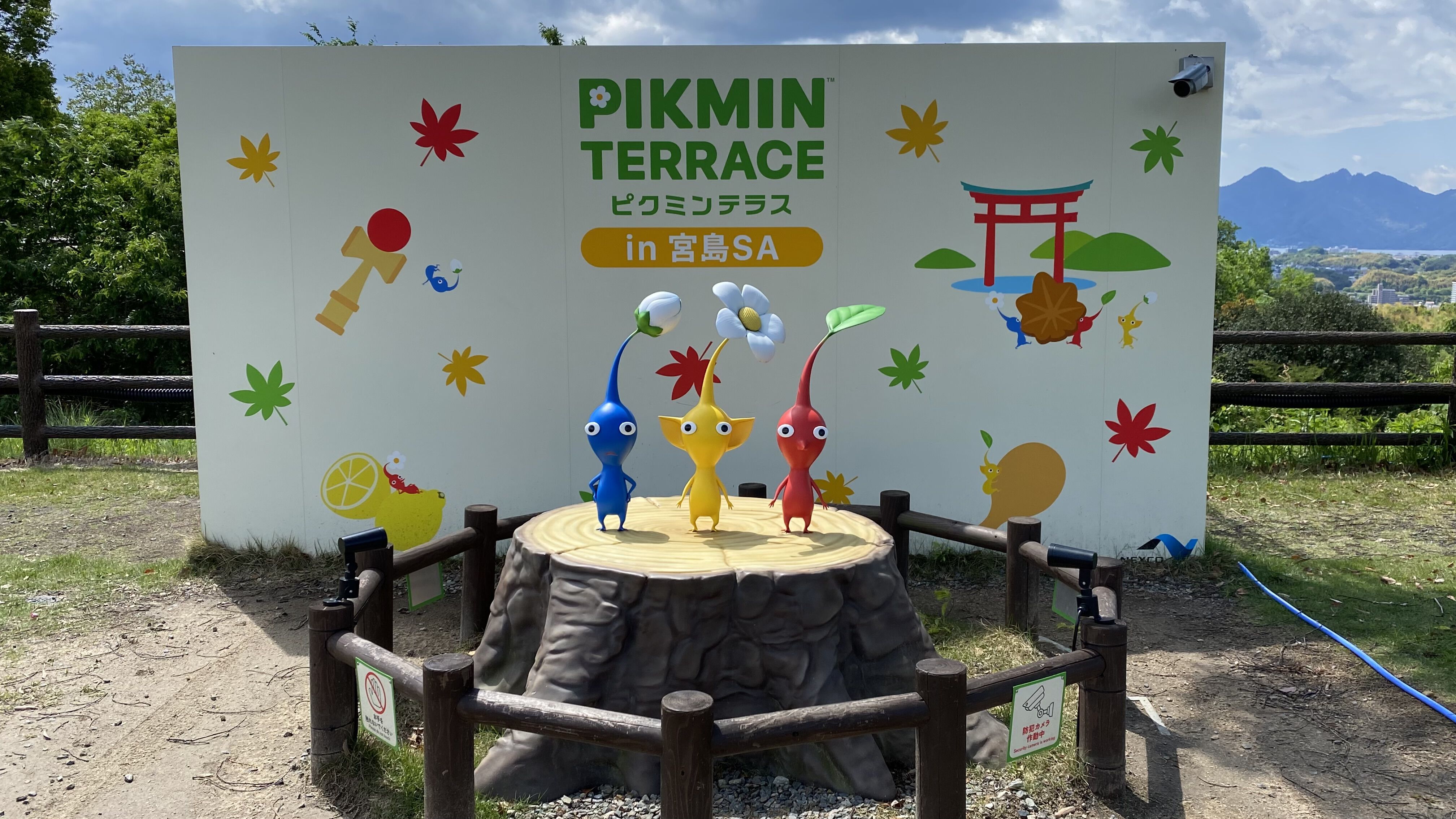 ピクミン』だらけの“ピクミンテラス in 宮島SA”が昨日（5月1日）から