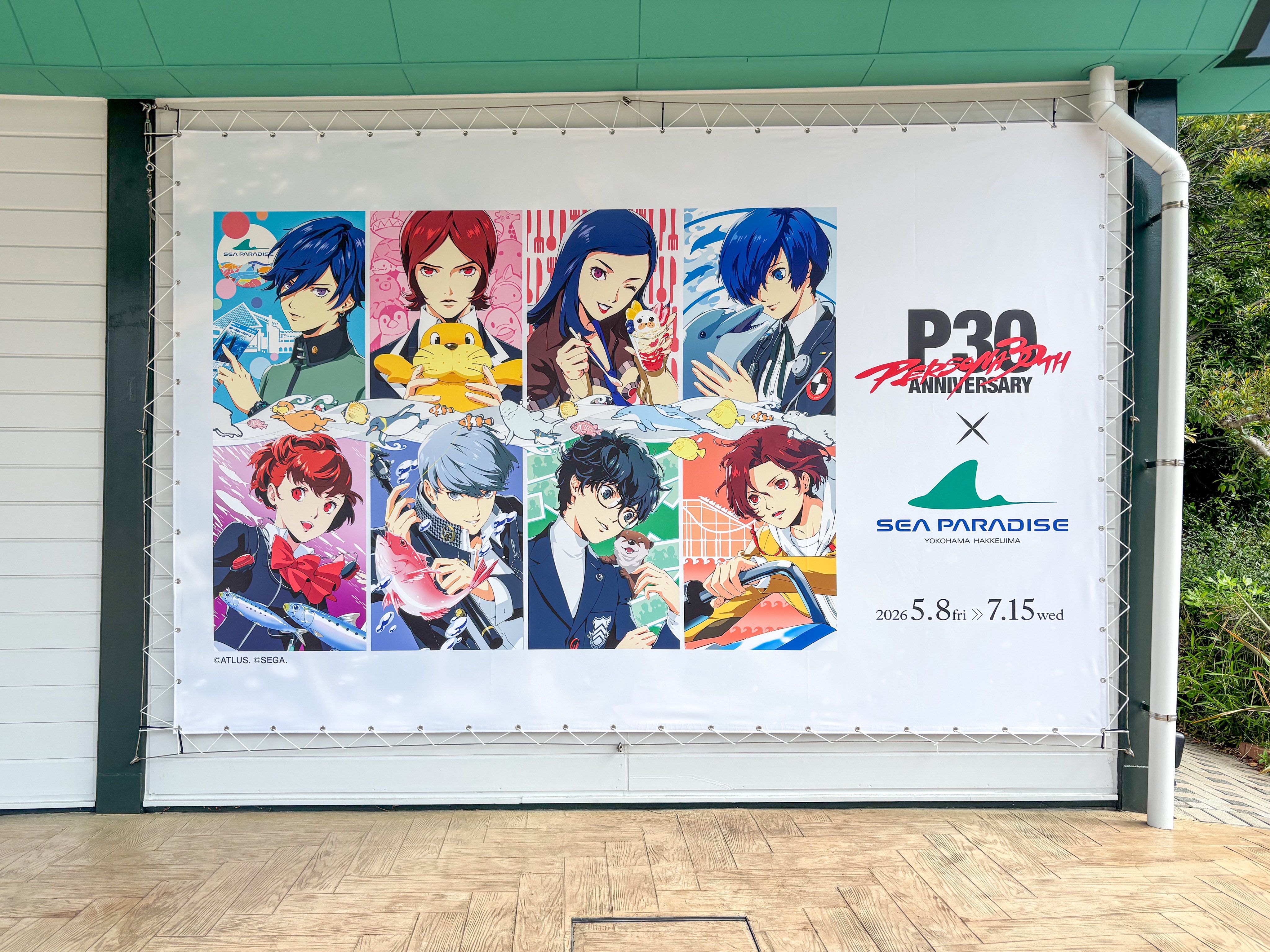 ペルソナ』八景島シーパラダイスコラボは本日（5/8）より開始！ 『P4