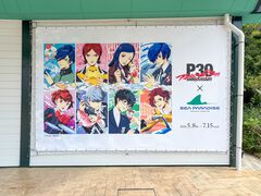 『ペルソナ』八景島シーパラダイスコラボは本日（5/8）より開始！ 『P4』イルカショー、『P5』仕様アトラクション、歴代楽曲で演出される花火ショーなど盛りだくさん