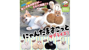 ねこの“あの部分”がさわり放題。『にゃんたますこっとサプライズ！』カプセルトイ売場で8月発売予定。ビックリ顔が特徴のシリーズ第3弾