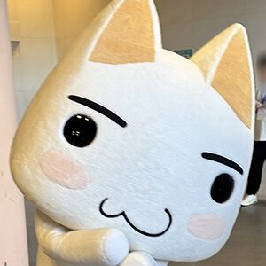 サムネイル画像
