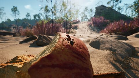 蟻の帝国の存亡をかけた戦いを描く異色のストラテジー『Empire of the Ants』が11月7日に発売決定
