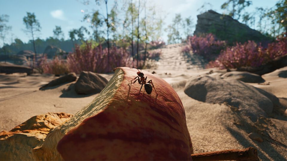 蟻の帝国の存亡をかけた戦いを描く異色のストラテジー『Empire of the Ants』が11月7日に発売決定