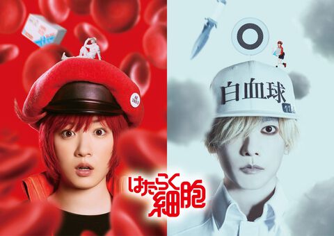 実写映画『はたらく細胞』赤血球（演：永野芽郁）、白血球（演：佐藤健）に決定。12月に全国公開予定。白血球のアクションシーンなどを収めた映像が公開