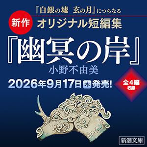 『幽冥の岸 十二国記』