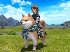 『FF14』渋谷区ふるさと納税の返礼品としてインゲームアイテムが提供開始。渋谷のハチ公ならぬ“大柴犬”のマウントなどが対象に