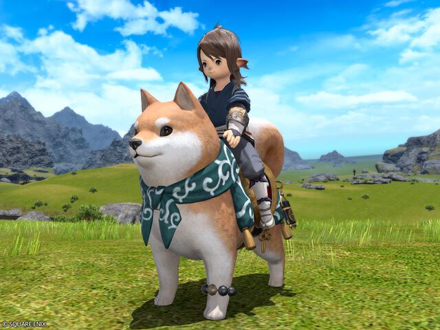 『FF14』渋谷区ふるさと納税の返礼品としてインゲームアイテムが提供開始。渋谷のハチ公ならぬ“大柴犬”のマウントなどが対象に