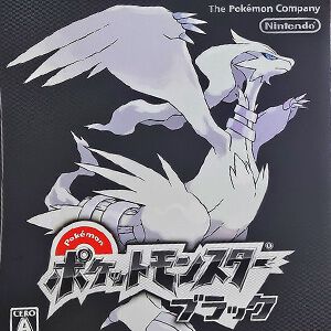 【ポケモン30周年記念コラム】ポケモンと歩いた30年を振り返る（2010年-2011年）。映画先行のゾロアークと『ブラック・ホワイト』発売、映画『黒き英雄ゼクロム／白き英雄レシラム』同時公開