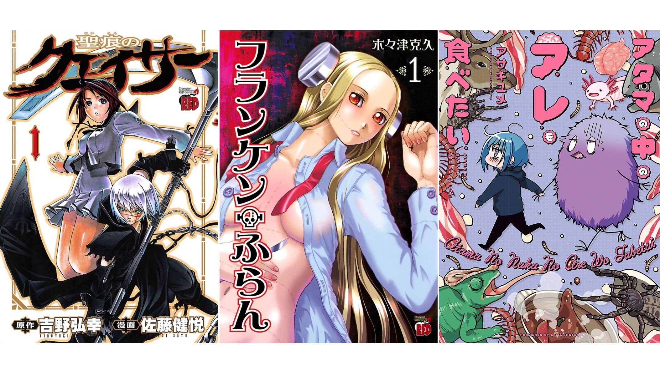 Kindleで『聖痕のクェイサー』全24巻が2376円、『フランケン・ふらん