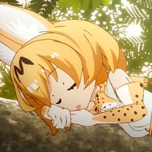 サムネイル画像