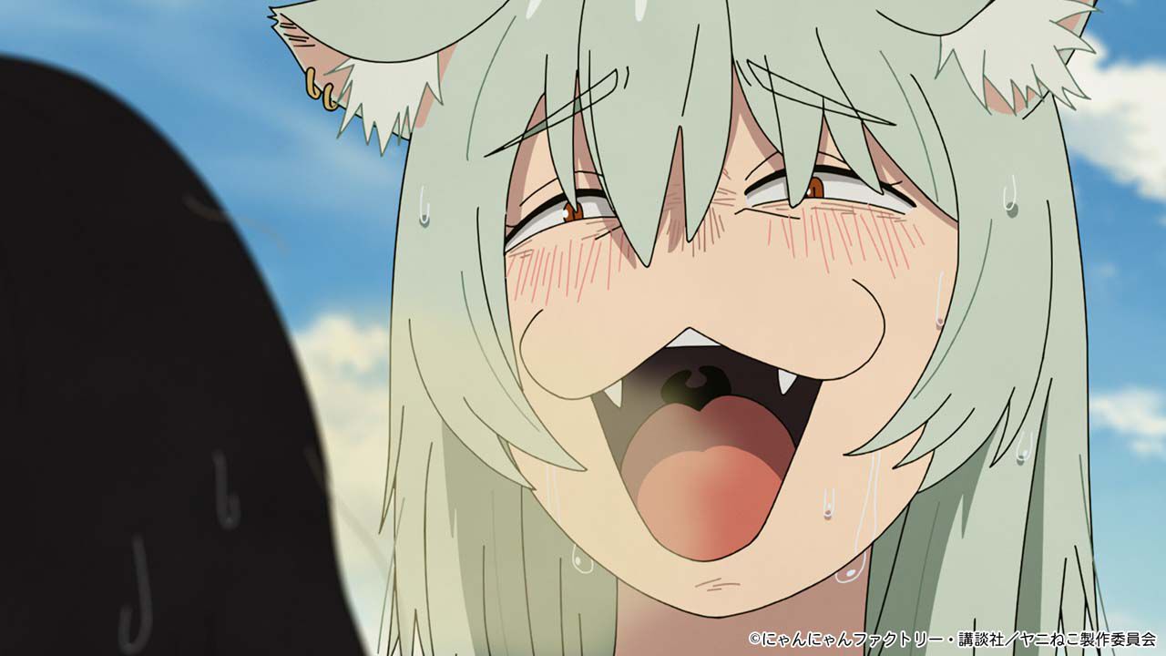 アニメ『ヤニねこ』第4話“ニャーのまわりは変人ばかりにゃ”。何をして