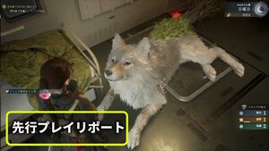 ゲーフリ新作『ビースト・オブ・リンカネーション』先行プレイリポート。相棒犬・クゥのかわいさと、立ち合い感がたまらない爽快アクションのギャップで整う