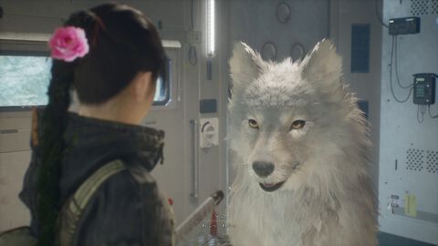 『ビースト・オブ・リンカネーション』相棒犬・クゥが表情豊かなのは「エマといっしょにいるとうれしいから」。魂を込めて開発したひとりと一匹の旅【インタビュー】