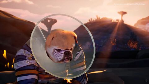 『GravHounds（グラヴハウンズ）』擬人化された犬たちの協力型TPS映像公開。エリザベスカラーを着けて、しょんぼりするワンちゃんがかわいい【gamescom 2026】