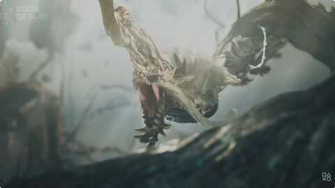 『モンハンワイルズ：アセンダンス』新映像公開。雷雲を操る古龍“グンドラージャ”や新フィールド“雲居（くもい）の遺跡群”などのシーンが確認できる。クルペッコ似のモンスターは“アラケータ”【State of Play】