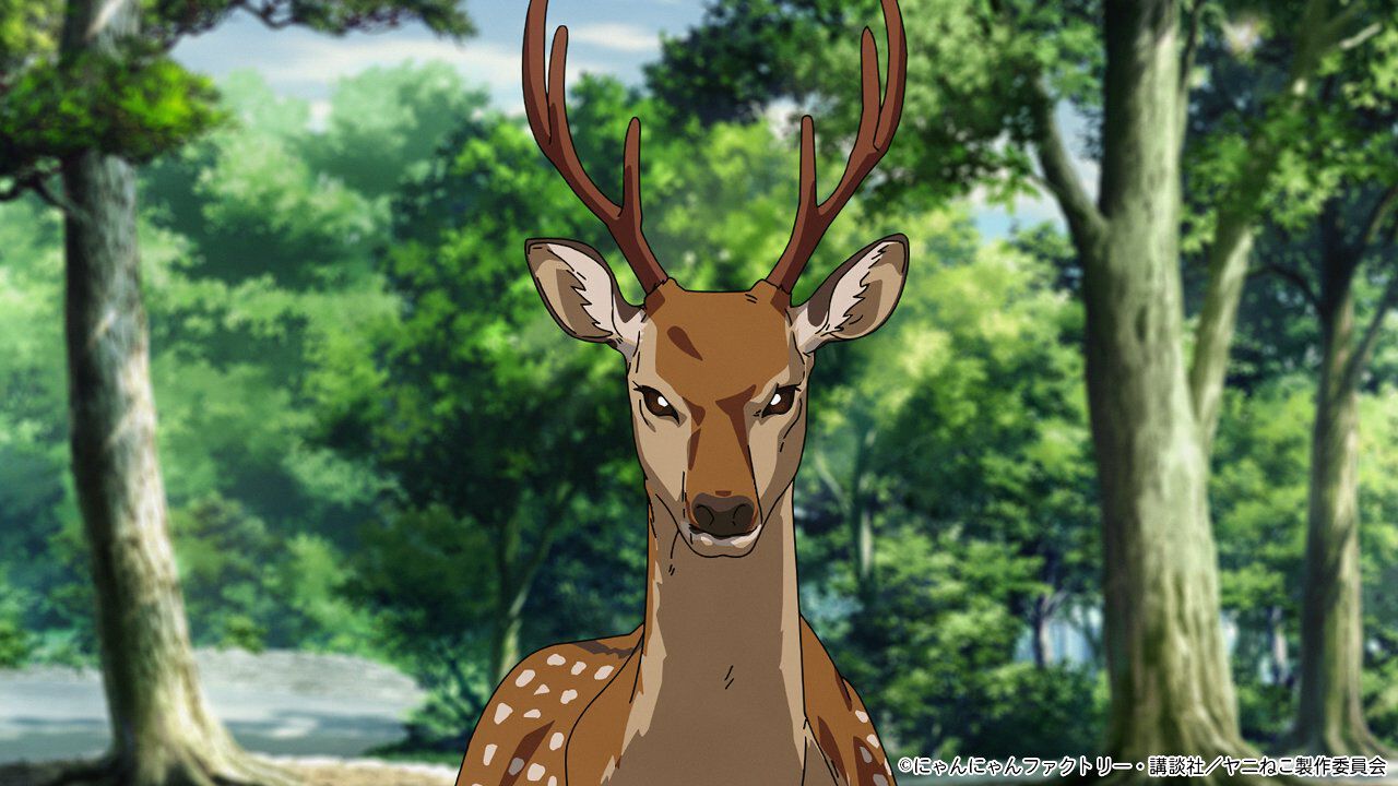 アニメ『ヤニねこ』第11話で奈良公園を舞台に「鹿の王」が登場へ！シュールな旅行回があらすじ公開