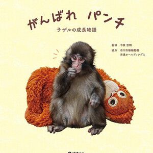 ぬいぐるみを母親がわりに育ったニホンザルの成長を綴る『がんばれ パンチ 子ザルの成長物語』が11/26発売