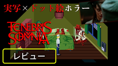 ホラーゲーム『Tenebris Somnia』レビュー。実写映像の恐怖と不穏なドット絵、ふたつの手法が融合したクラシカルで新しいホラー体験