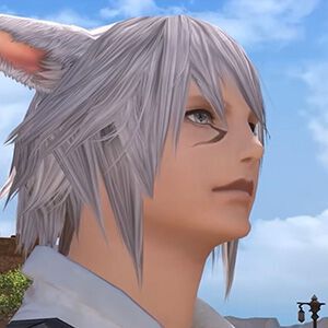 Switch2『FF14』本日8月4日（19時）よりサービス開始。『漆黒のヴィランズ』までプレイ可能なフリートライアルもスタート【初心者向け記事まとめ】