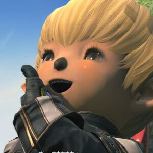 『FF14』初心者向け攻略：24人で挑む“アライアンスレイド”編。突入前にできるおすすめ設定、コンテンツ内での立ち回り、飛んでくる“アレ”などを解説
