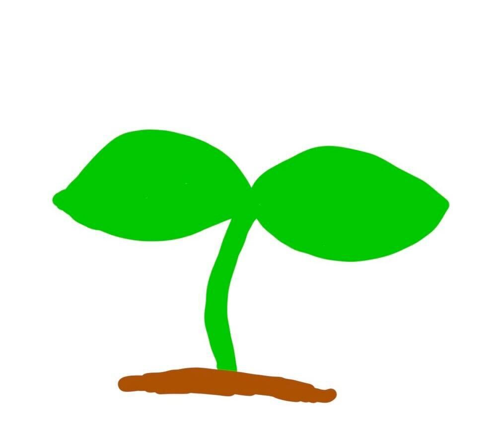 江波戸るく