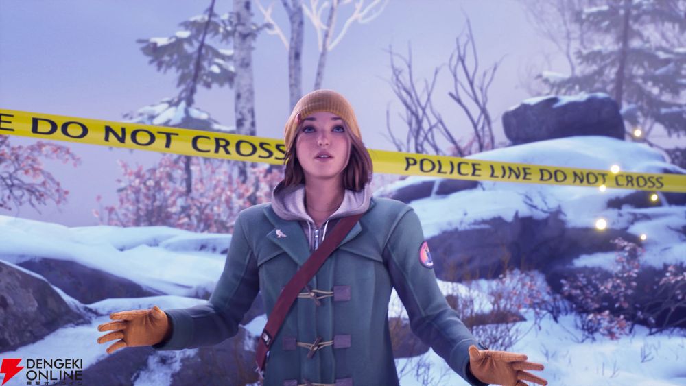 Life is Strange: 4-6 Slipcase Set (Graphic Novel): Vieceli