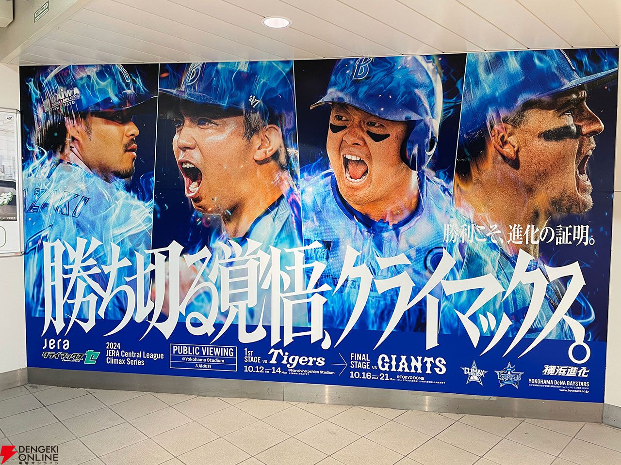 10日間前後お届け】勝ち切る覚悟～日本一までの79日～/DVD