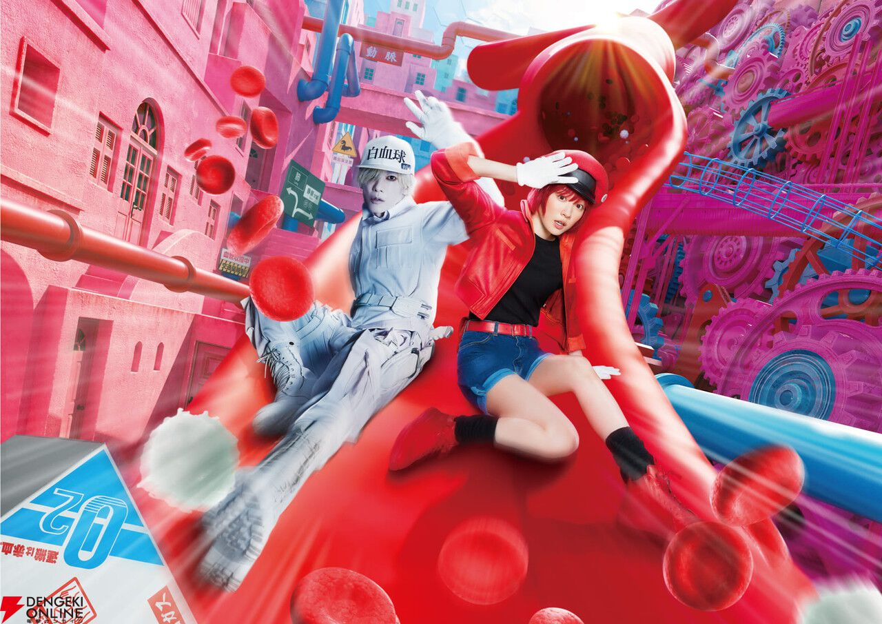 はたらく細胞 クラッシュフィーバー 当選品 直筆サイン 色紙 白血球 前野智昭 前野 智昭 はたらく 細胞】はたらく細胞 クラッシュフィーバー 当選品