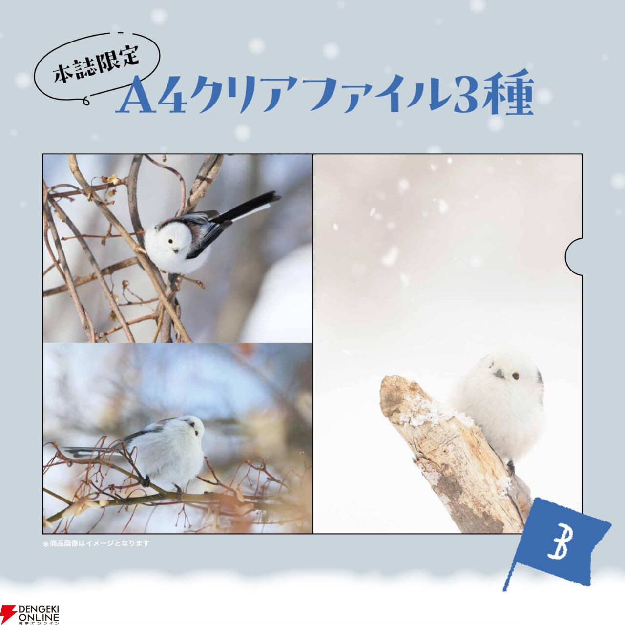 雪の妖精 シマエナガクリアファイルBOOK』が予約受付中