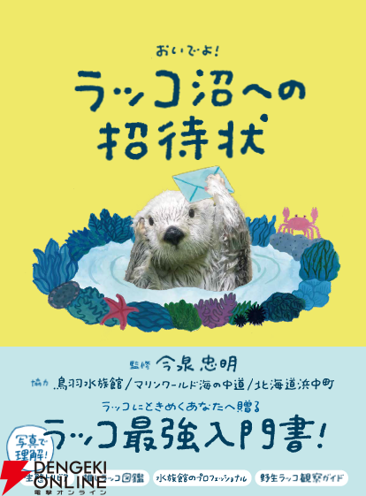 ラッコの最強入門書『ラッコ沼への招待状』が予約受付中。Amazon