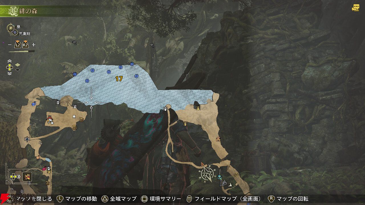 モンハンワイルズ攻略】緋の森（フィールド）の採集ポイント