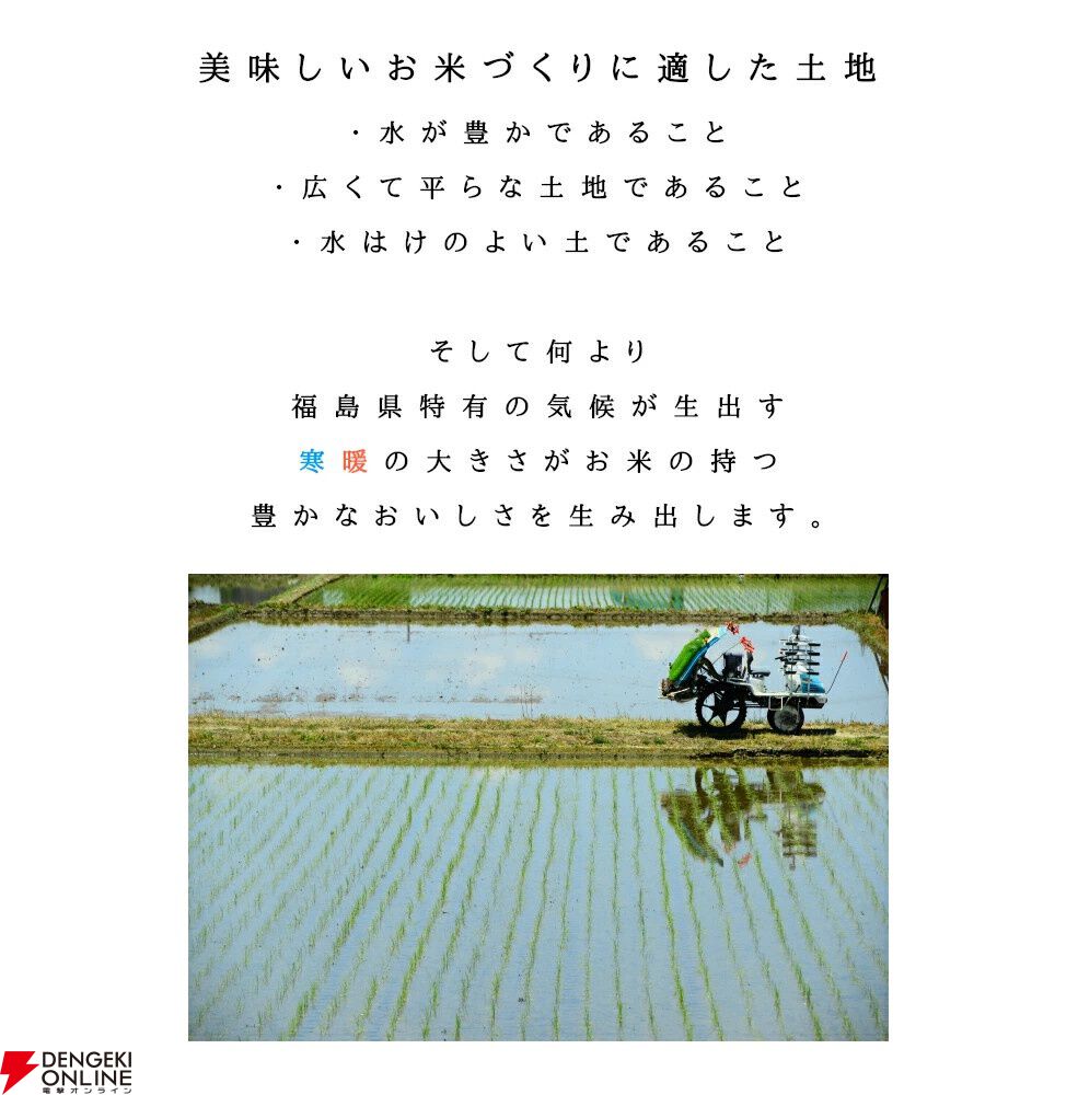 令和6年産】おいしい福島県産コシヒカリが10kgで8,099円と 令和6年産】おいしい福島県産コシヒカリが10kgで8,099円と