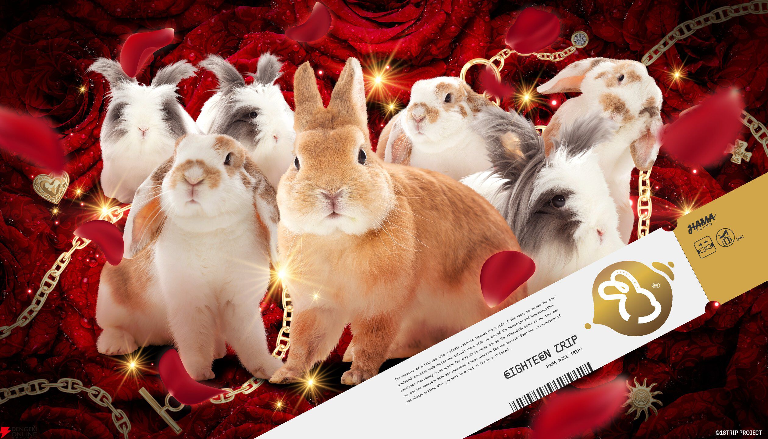 エイトリ』もふもふのウサギたちがおもてなし。“ラビホス区長”が卯勢佐